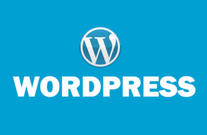 FIRST #1° PARIS WEBSERVICES COMPAGNY 360° Mrs WordPress Weber Maxwell Best Webmaster Builders.fr