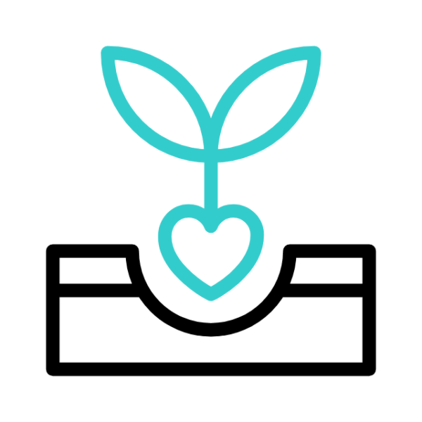 Best Marketing SEO Creation is Wedev. Weber Digital Paris