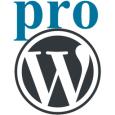 WordPress.fr Paris Pro